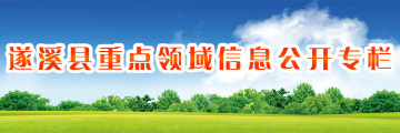 重點領域信息公開