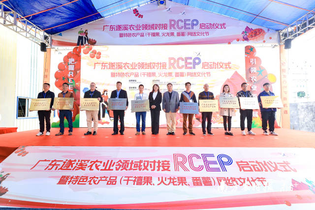 10個(gè)千禧果、番薯、火龍果、香蕉種植基地被授予“RECP生產(chǎn)基地”  南方農(nóng)村報(bào) 吳秒衡 拍攝