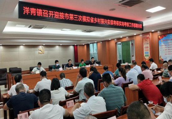 洋青：提升基層“三度”水平 、力促鄉(xiāng)村振興879.png