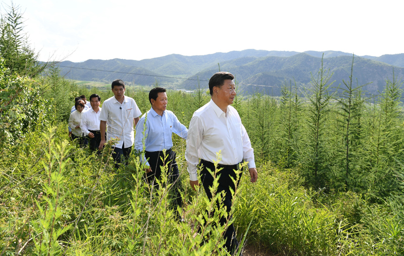 7月15日至16日，中共中央總書記、國家主席、中央軍委主席習近平在內蒙古考察并指導開展“不忘初心、牢記使命”主題教育。這是15日下午，習近平在赤峰市喀喇沁旗馬鞍山林場林區，沿著崎嶇的護林小道察看林木長勢。