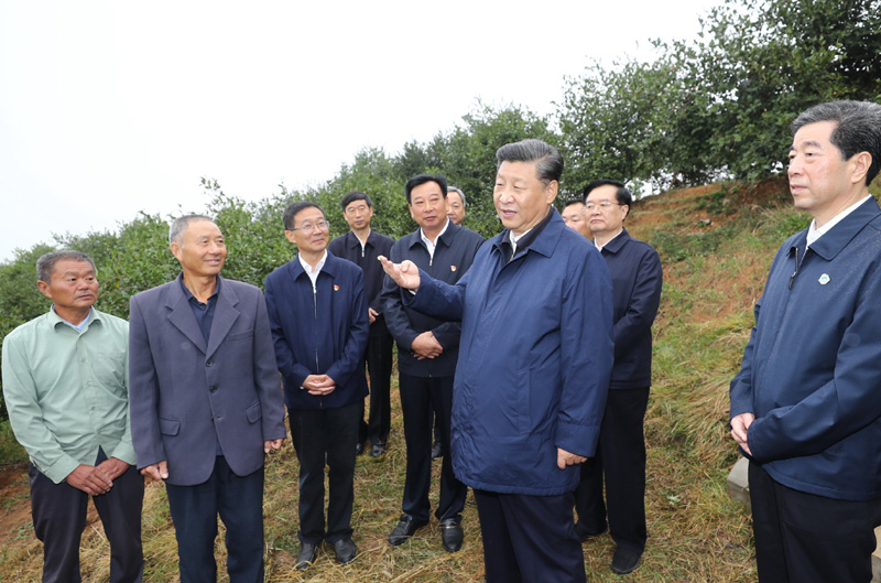 　　9月16日至18日，中共中央總書記、國家主席、中央軍委主席習近平在河南考察。這是17日上午，習近平來到信陽市光山縣槐店鄉(xiāng)司馬光油茶園，同正在勞作的村民和管理人員交流。 新華社記者 鞠鵬 攝