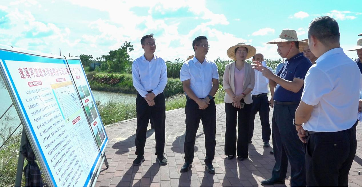駱華慶率隊督導節前安全生產、道路交通安全及遂溪河整治工作2.png