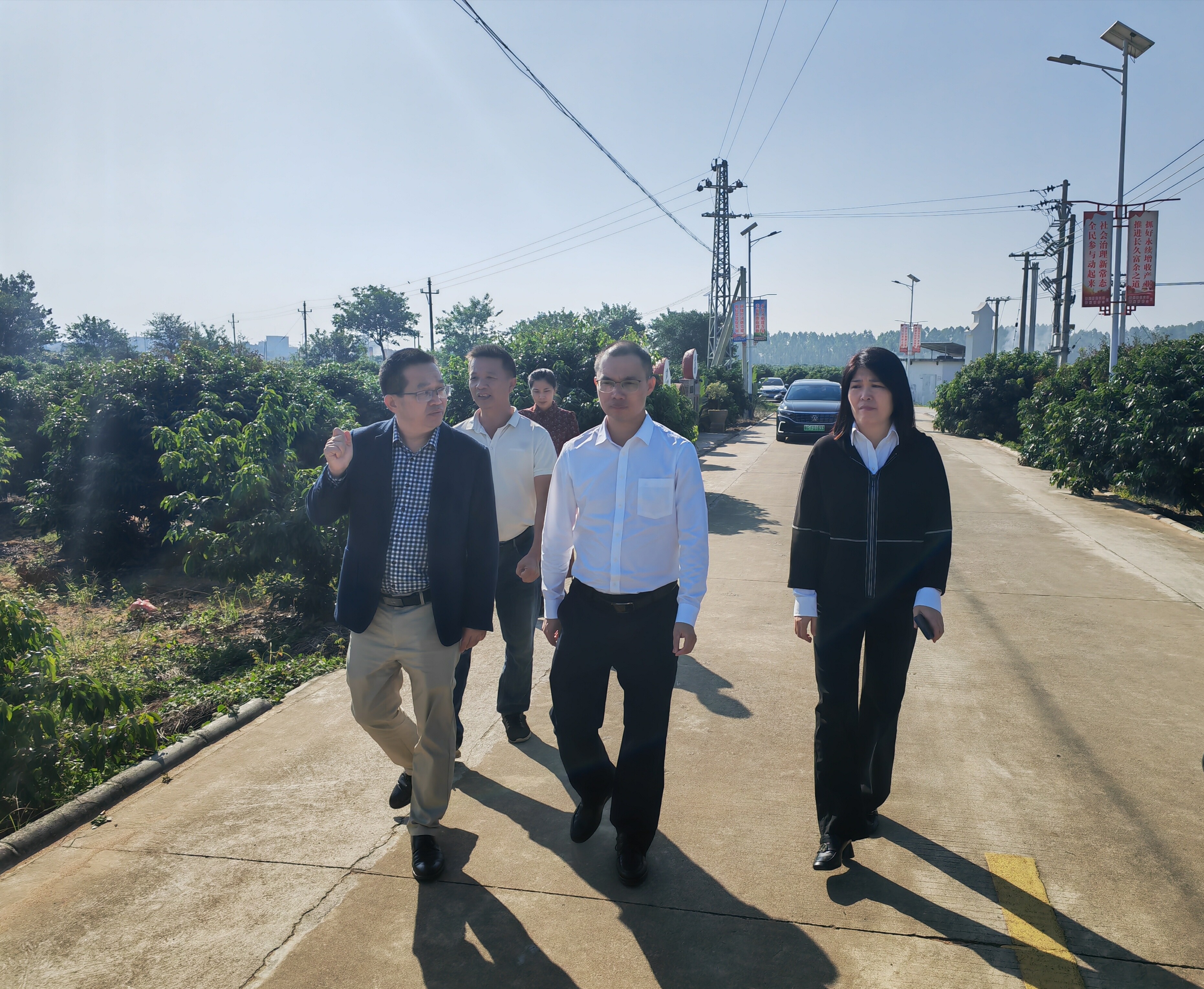 朱帝池到烏塘鎮調研黨建引領基層治理服務“百千萬工程”高質量發展工作