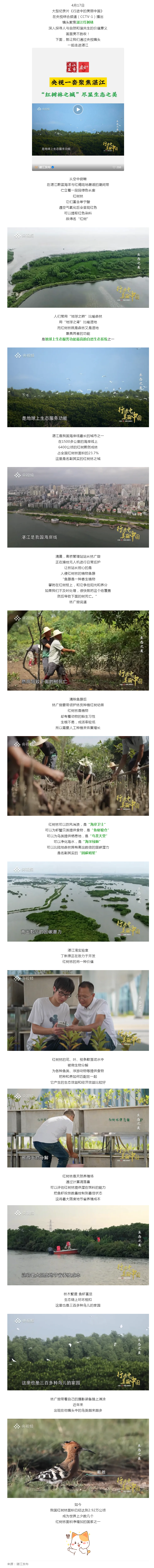 超8分鐘！CCTV-1重磅聚焦湛江“固碳明星”....._.png