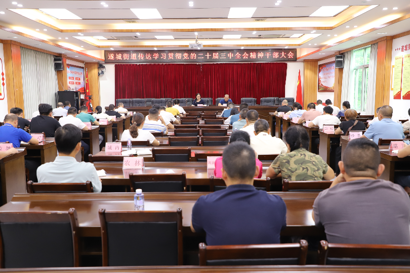 遂城街道傳達學(xué)習(xí)貫徹黨的二十屆三中全會精神干部大會1.JPG
