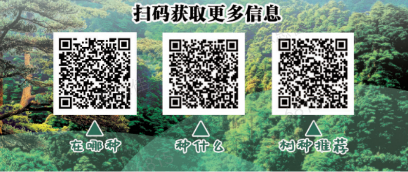 “有喜事來種樹，建設綠美遂溪”倡議書1.png