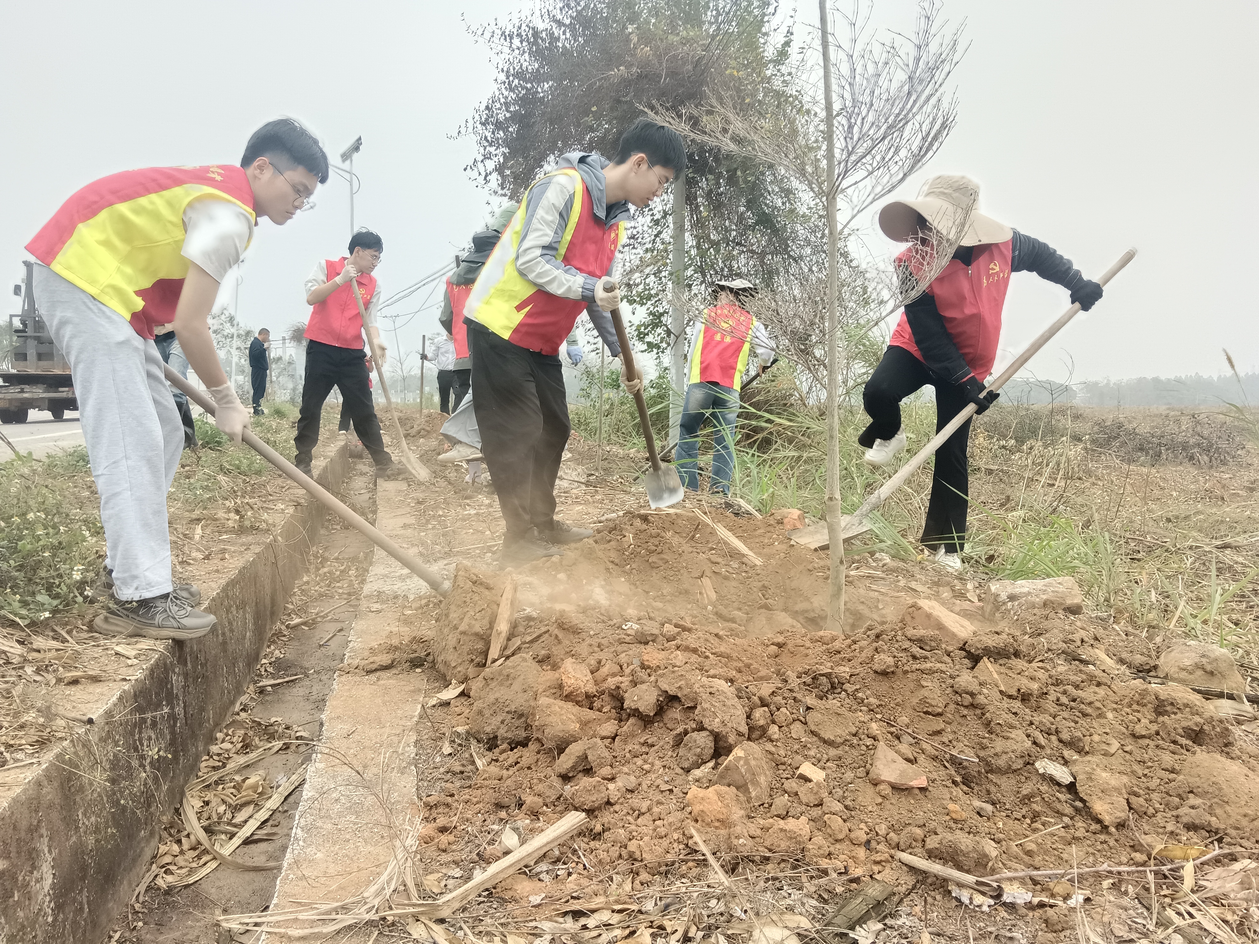 黨政企群聯合，共筑城月道路生態屏障
