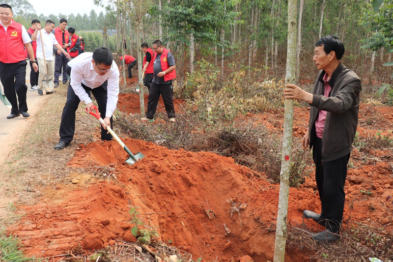 樂民鎮黨委開展綠美公路義務植樹活動