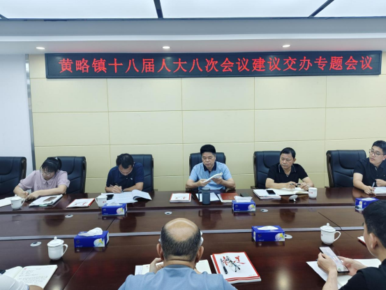 黃略鎮(zhèn)召開(kāi)2025年人大代表建議專題交辦會(huì)議