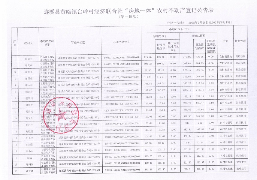 黃略鎮臺嶺村經濟聯合社不動產登記公告（第一批次）（歷史遺留問題）_頁面_2.jpg