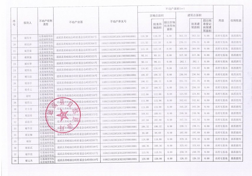 黃略鎮臺嶺村經濟聯合社不動產登記公告（第一批次）（歷史遺留問題）_頁面_3.jpg